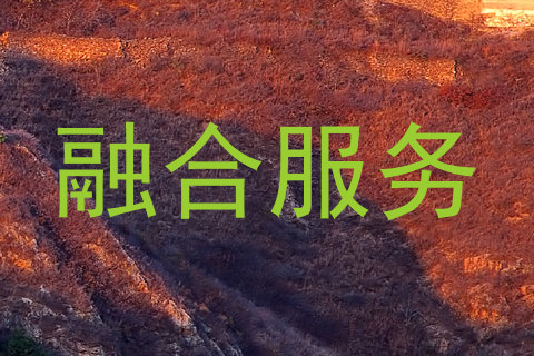 融合服务