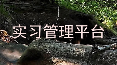 实习管理平台