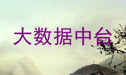 大数据中台