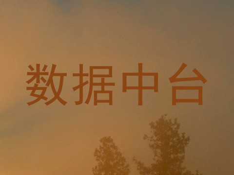数据中台