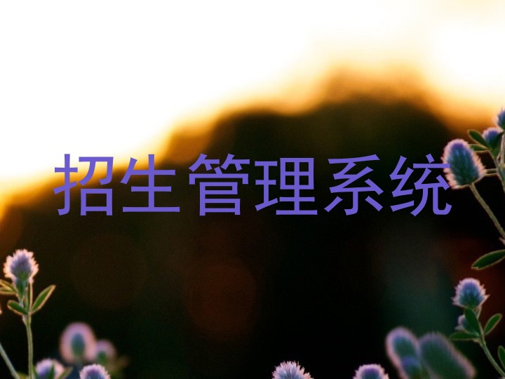 招生管理系统