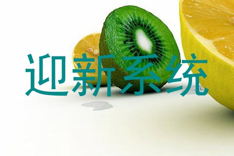 迎新系统