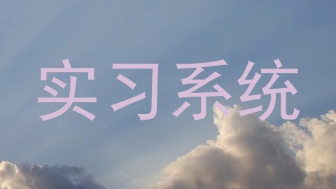 实习系统