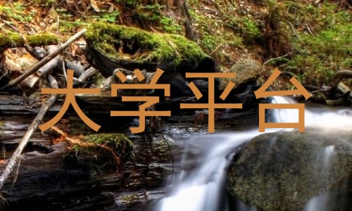 大学平台