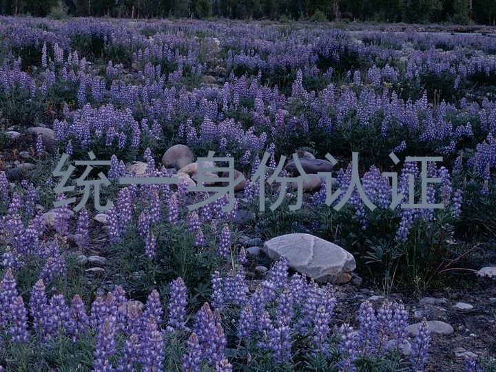 统一身份认证
