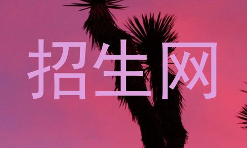 招生网