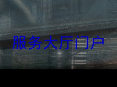 服务大厅门户