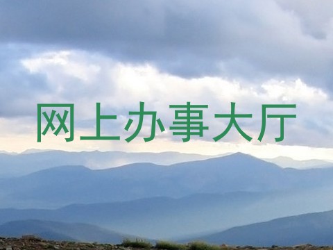 网上办事大厅