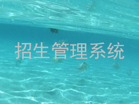 招生管理系统