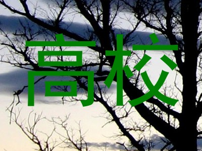 高校