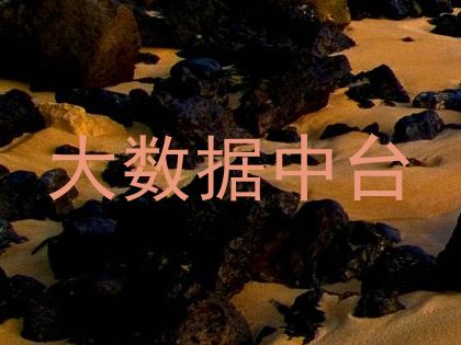 大数据中台