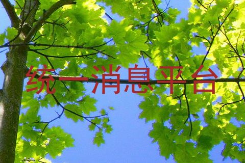 统一消息平台