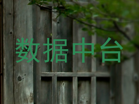 数据中台
