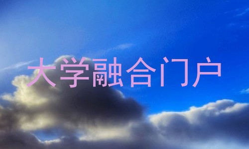 大学融合门户