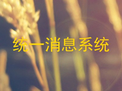 统一消息系统