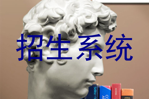 招生系统