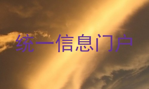 统一信息门户