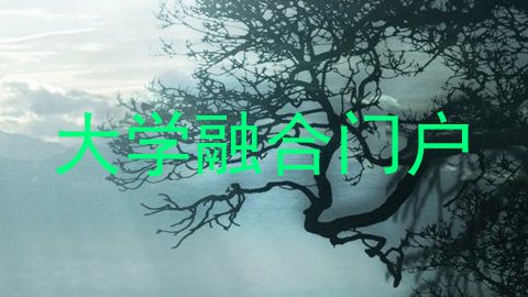 大学融合门户