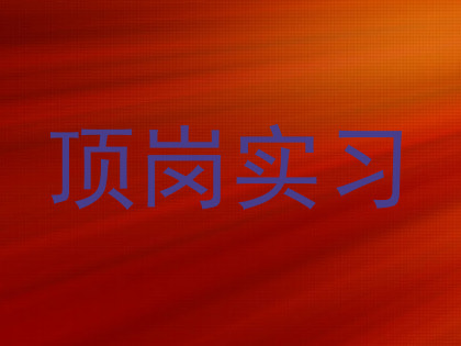 顶岗实习