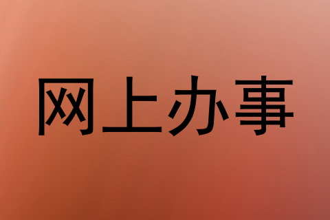 网上办事