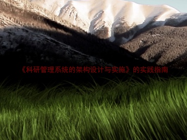 《科研管理系统的架构设计与实施》的实践指南