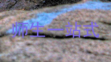 师生一站式