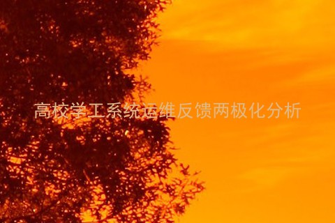 高校学工系统运维反馈两极化分析