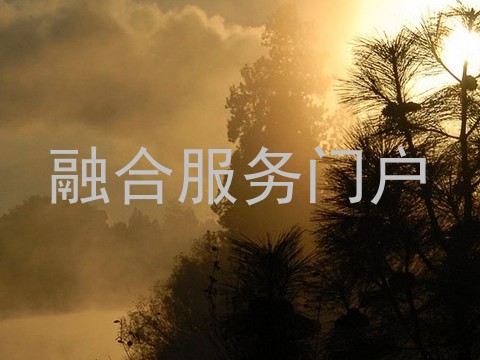 融合服务门户
