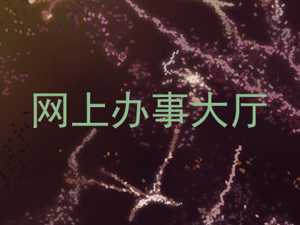 网上办事大厅
