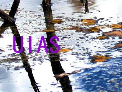 UIAS