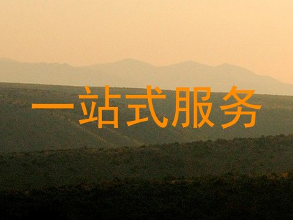 一站式服务
