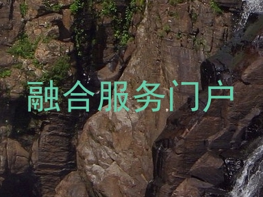融合服务门户