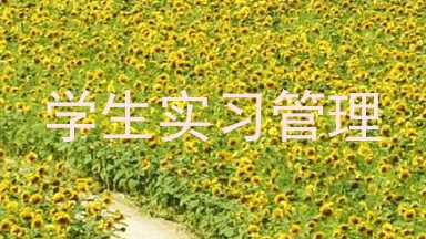学生实习管理