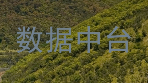 数据中台