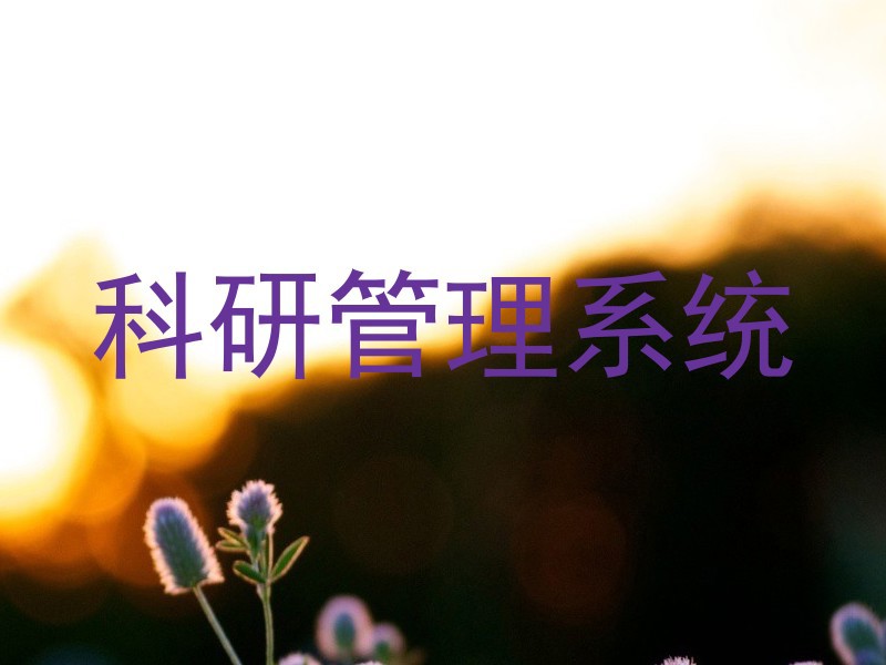 科研管理系统