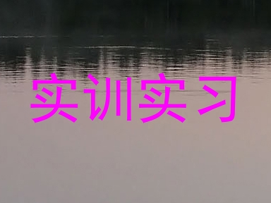 实训实习