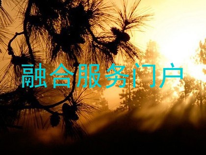 融合服务门户