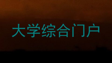 大学综合门户