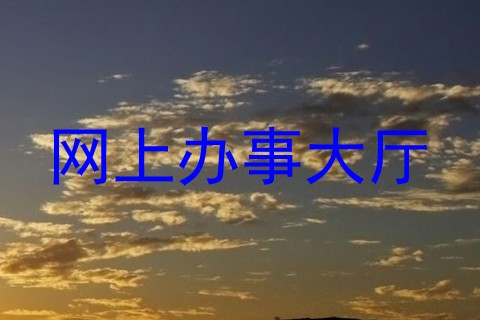 网上办事大厅