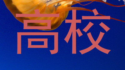 高校