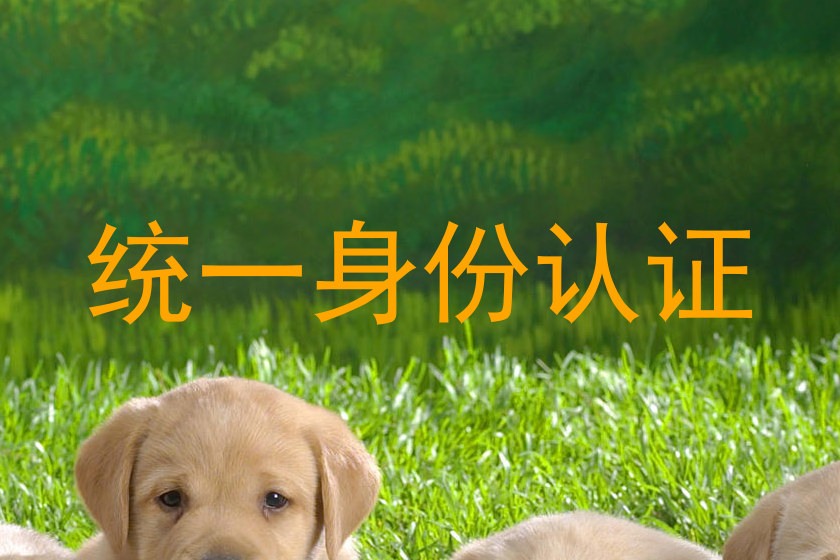 统一身份认证