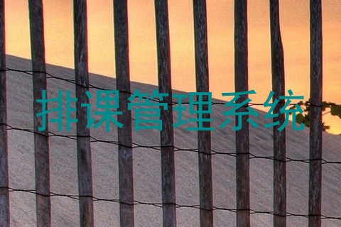 排课管理系统