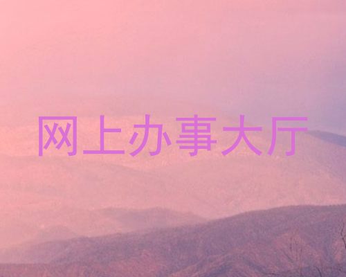网上办事大厅