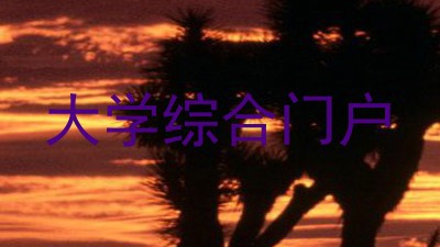 大学综合门户