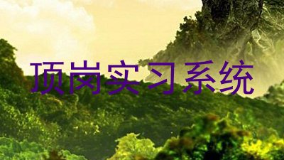顶岗实习系统
