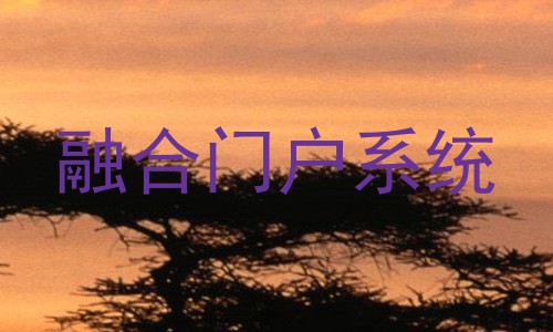 融合门户系统