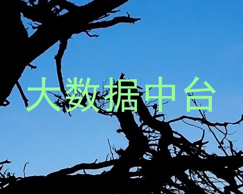 大数据中台