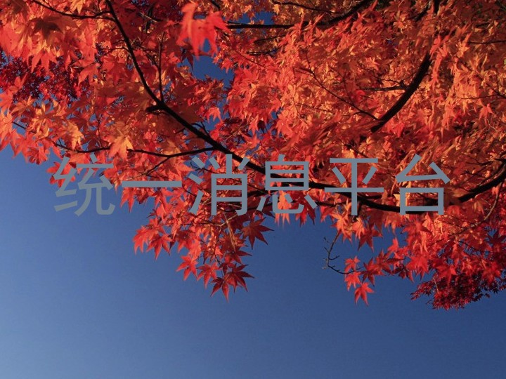 统一消息平台