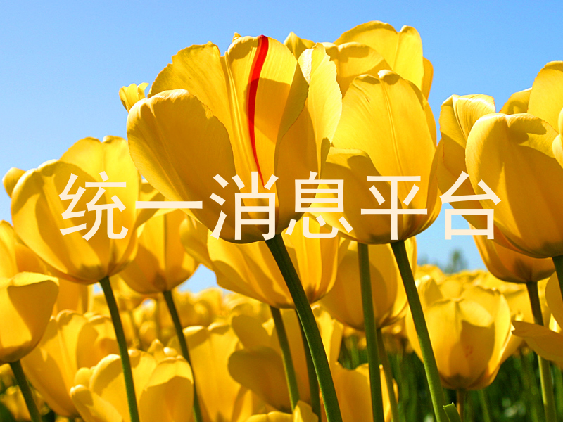 统一消息平台