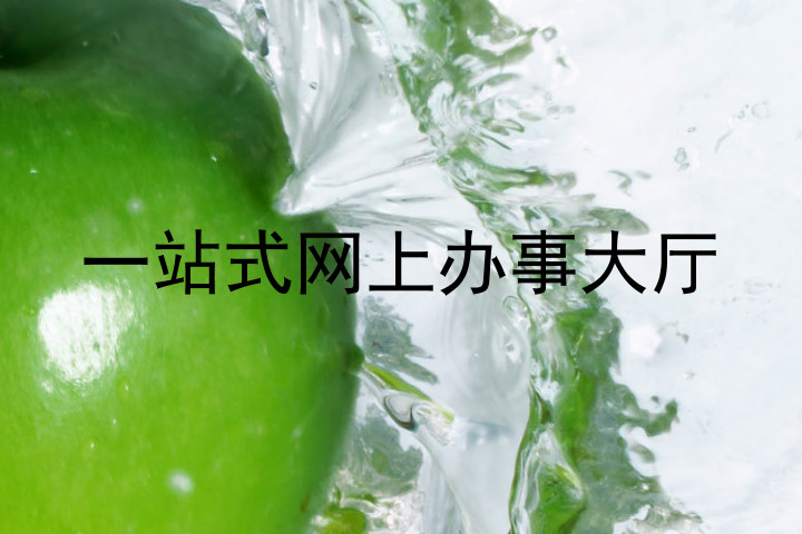 一站式网上办事大厅